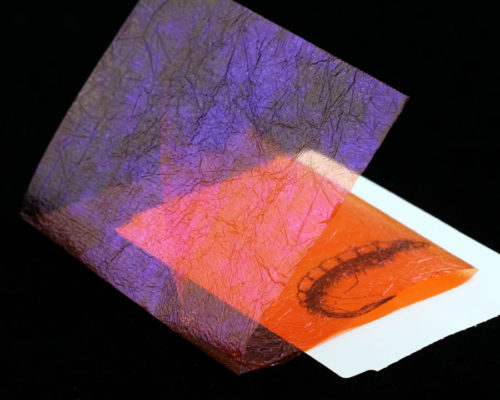 256725 FUVFBS burnt orange