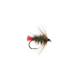 NINFA  RED TAG