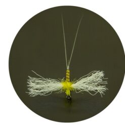 Spent Yellow