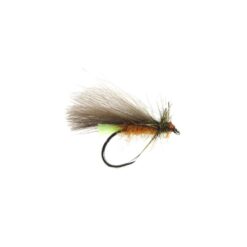 Squirrel sedge Ginger