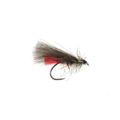 Squirrel sedge Natural