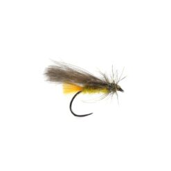 Squirrel sedge Golden olive