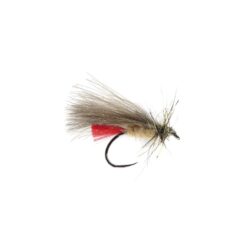 Squirrel sedge Cream