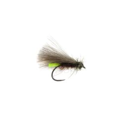 Squirrel sedge Brown